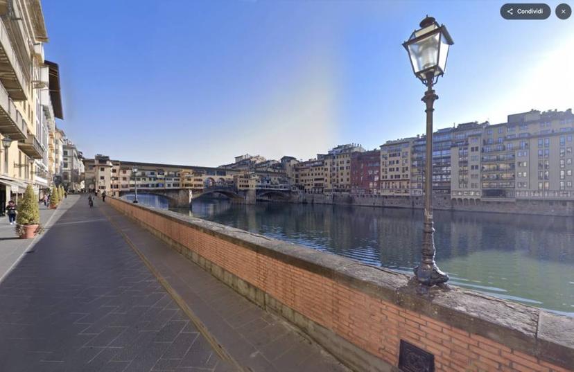 Vendita appartamento lungarno luisa de medici Firenze (FI)